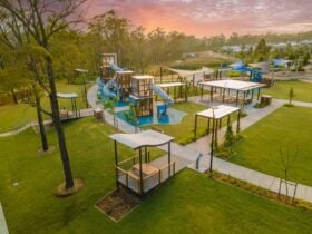 Huntlee district park image