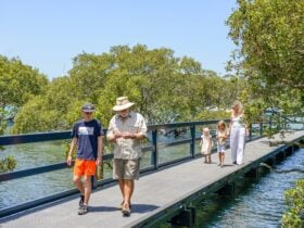 Walking on boardwalk
