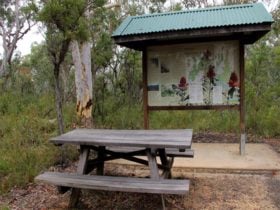 Picnic table at Ironbark picnic area. Photo: John Yurasek © OEH