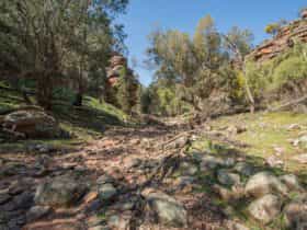 Jacks Creek, Cocoparra National Park. Photo: John Spencer