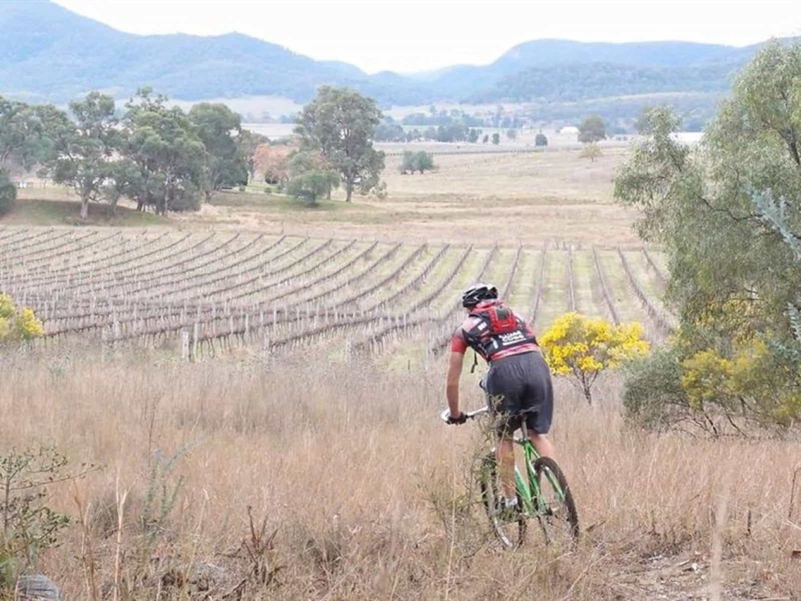 James Estate Mountain Bike Trails