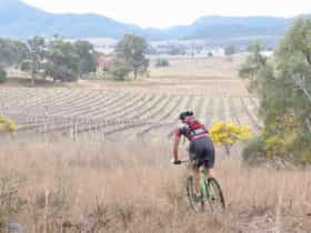 James Estate Mountain Bike Trails
