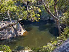 Jellybean Pool, Jellybean track, Blue Mountains National Park. Phone: Steve Alton/NSW Government