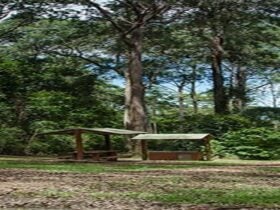 Jerusalem Creek picnic area, Barrington Tops National Park. Photo:John Spencer