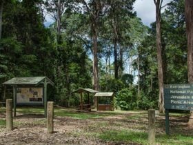 Jerusalem Creek picnic area, Barrington Tops National Park. Photo:John Spencer