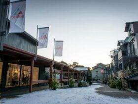 JK Gallery & Mountain Shop