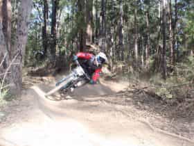 jolly nose gravity corner