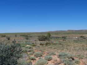 Jump-Up walking track