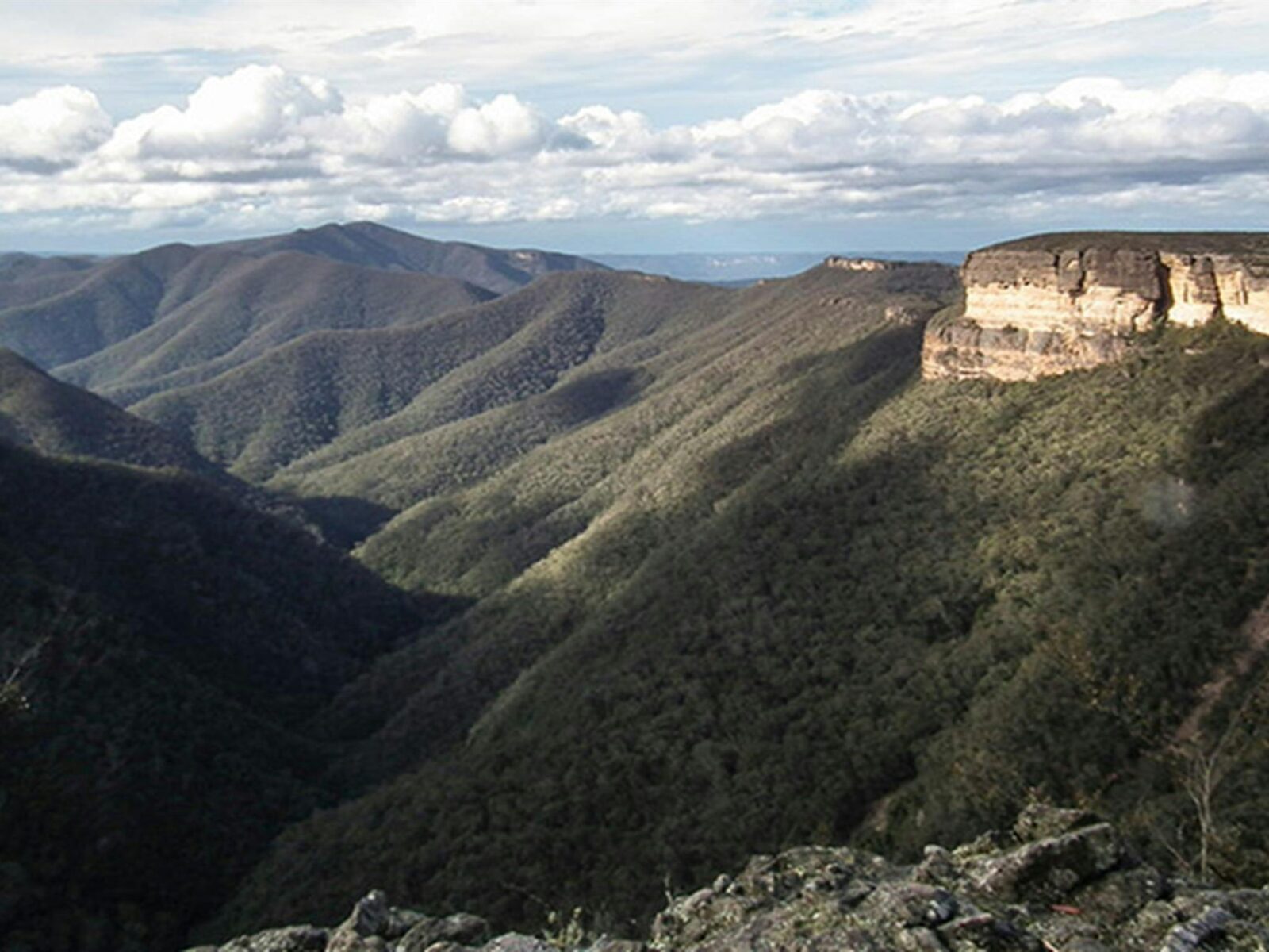 Views from Kanangra-Boyd lookout, Kanangra-Boyd National Park. Photo: Jules Bros © DPIE