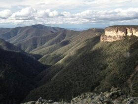 Views from Kanangra-Boyd lookout, Kanangra-Boyd National Park. Photo: Jules Bros © DPIE