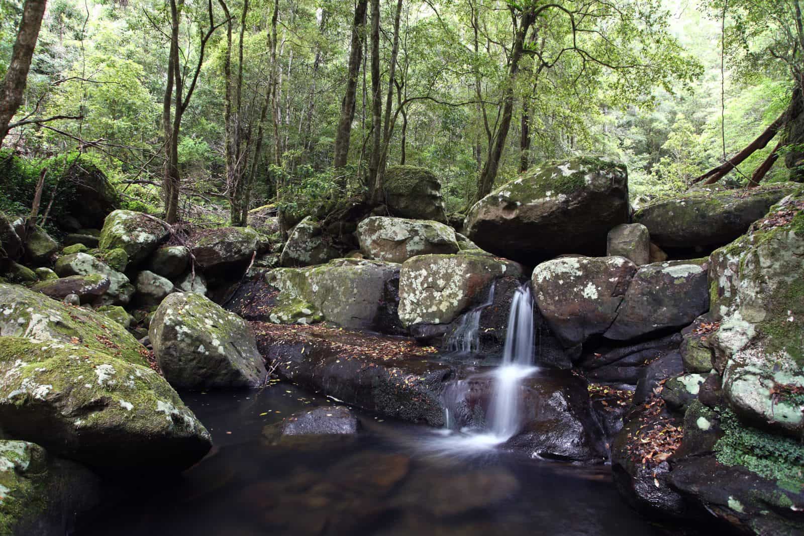Water rushing over mossy rocks at Kangaroo River with bushland in the background