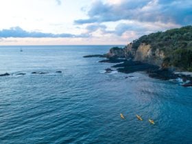 Guerilla Bay