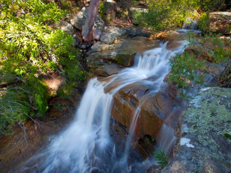 Kellys Falls picnic area, Garawarra State Conservation Area. Photo: Nick Cubbin © OEH