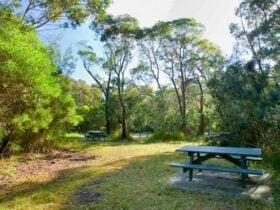 Kellys Falls picnic area, Garawarra State Conservation Area. Photo: Nick Cubbin © OEH
