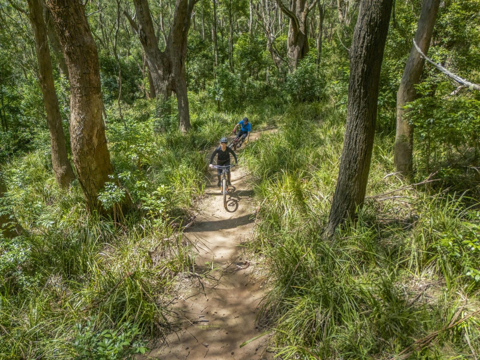 Riders cycle through the bush on Kembla mountain bike trails.
