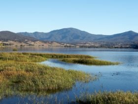 Khancoban Pondage