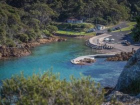 Kianinny Bay, Tathra