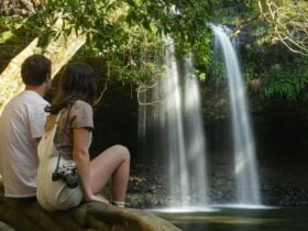 a couple sitting on a log looking towards the waterfall
