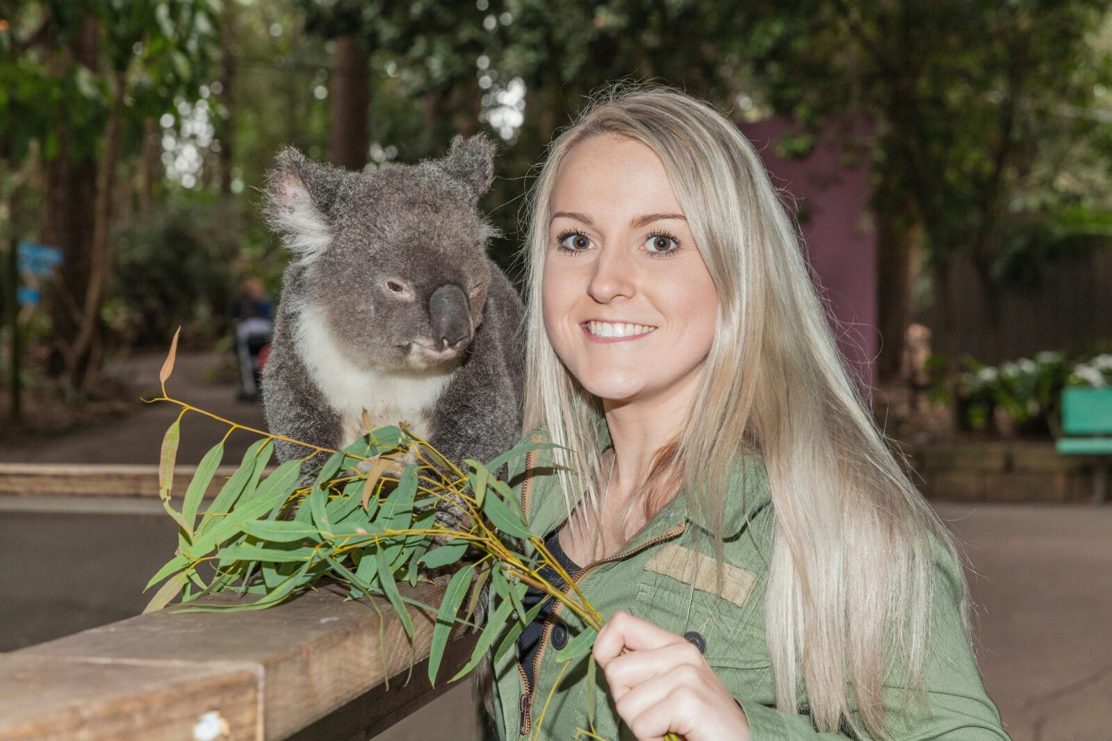 Yes you can pat our koalas ther is four Koala presentations daily