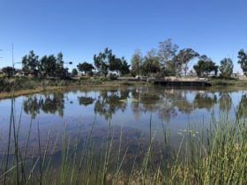 The lake at Kolombo Reserve