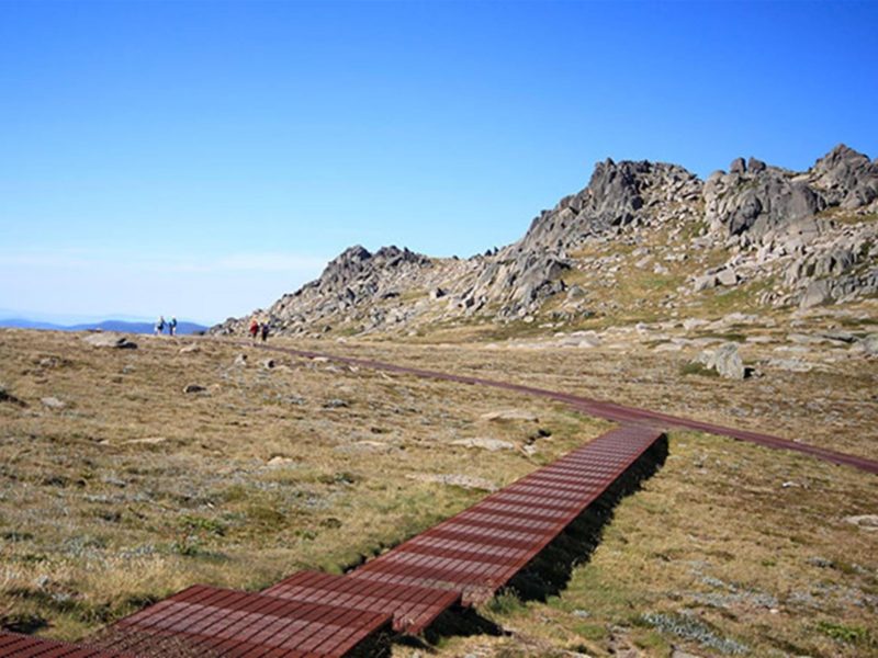 A raised metal mesh path leads off Thredbo