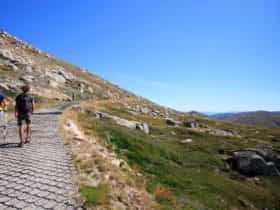 Thredbo to Mount Kosciuszko walk, Kosciuszko National Park. Photo: Elinor Sheargold