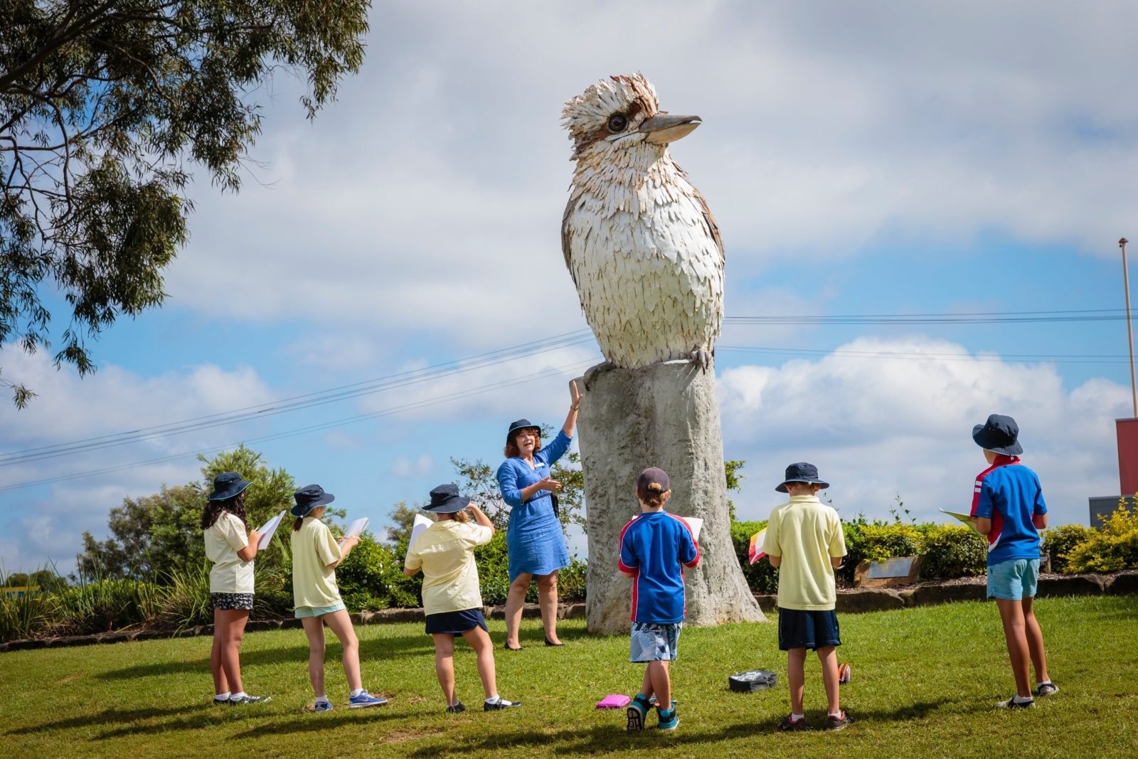 Kurri Kurri Kookaburra