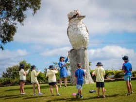 Kurri Kurri Kookaburra