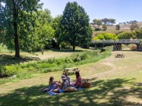 Picnic at Kurt Fearnly Park