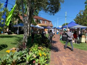 Stratheden Street Markets with Kyogle Council Chambers in background