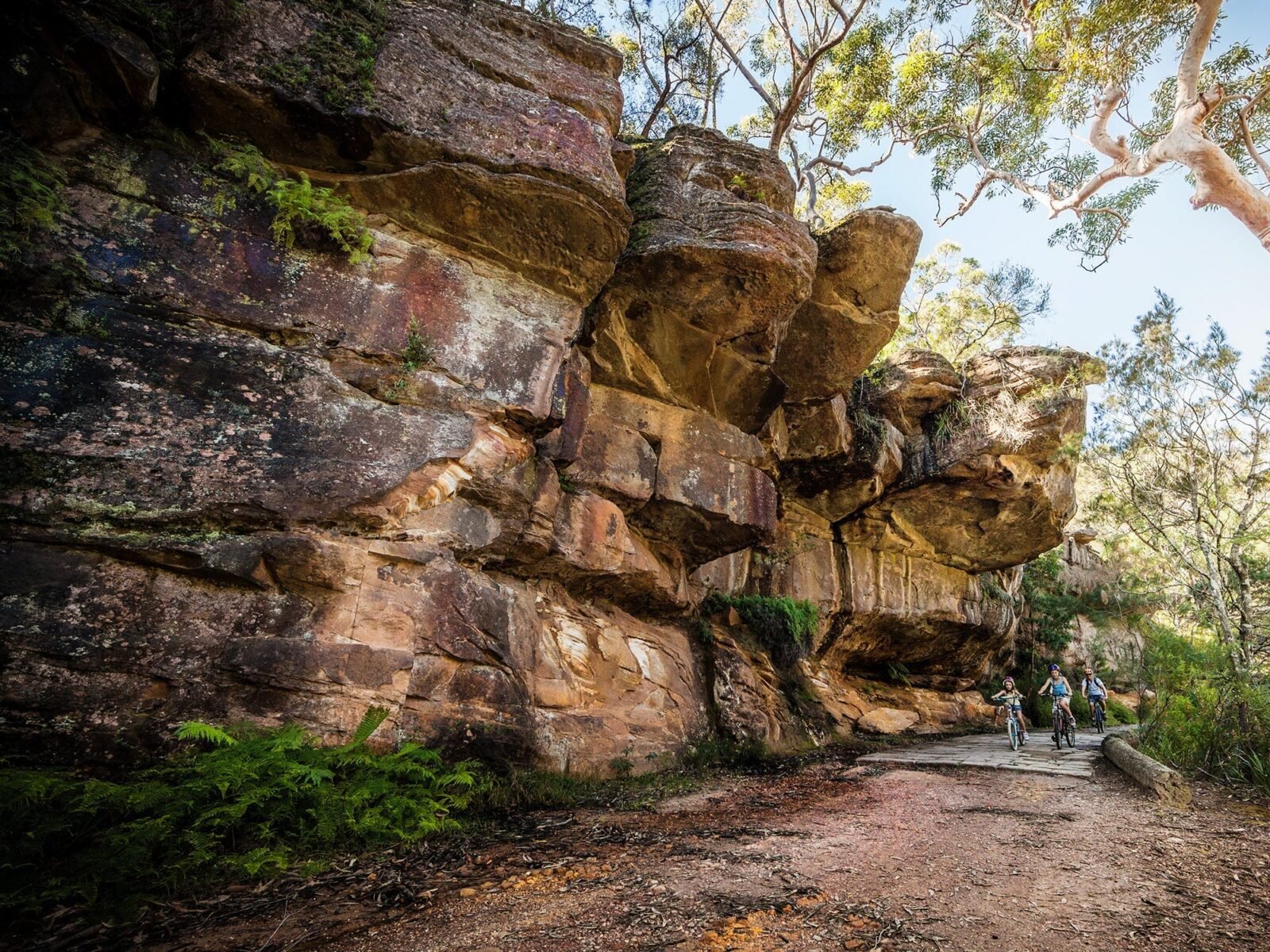 A family riding bikes on Lady Carrington Drive