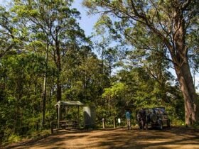 Lagoon Pinch picnic area, Barrington Tops National Park. Photo: John Spencer/NSW Government