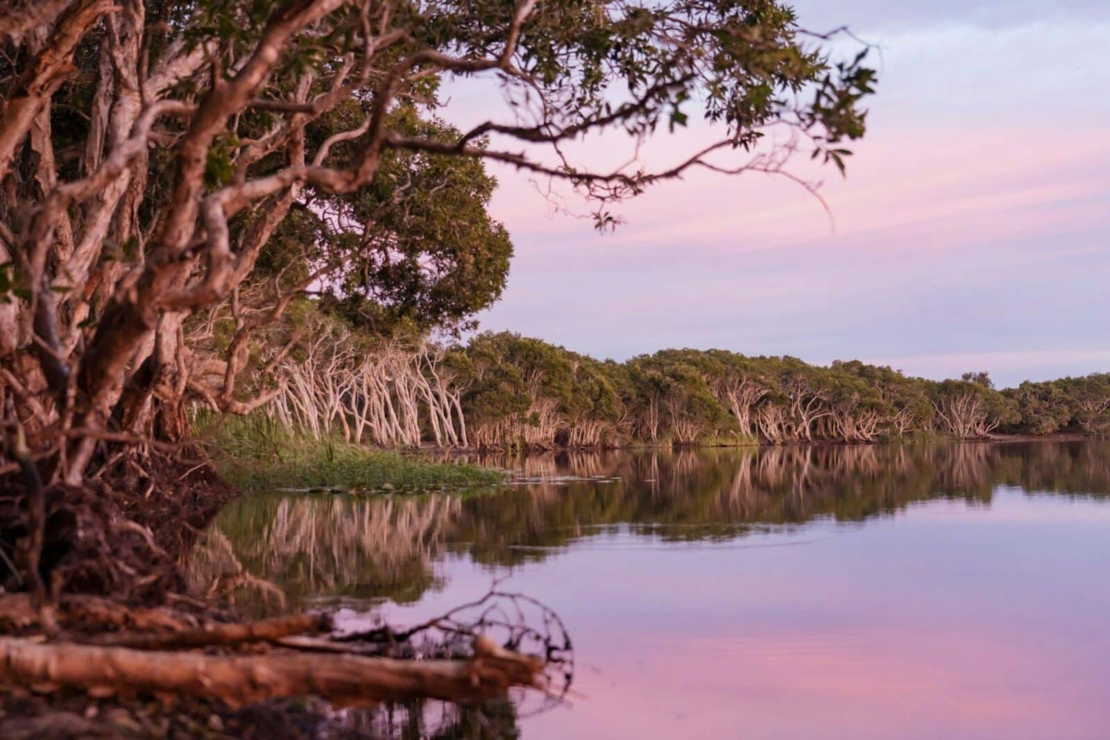 Pretty pink dusk at lake