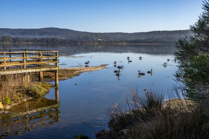 Lake Curalo Boardwalk, Eden, walks, boardwalk, lagoon, Sapphire Coast, South Coast, beach walks