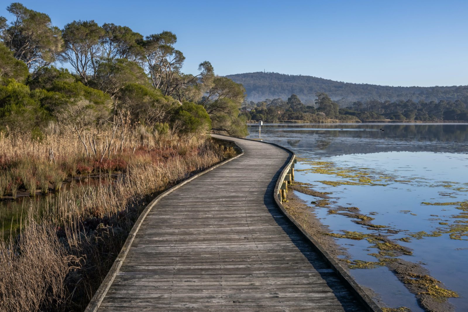 Lake Curalo Boardwalk, Eden, walks, boardwalk, lagoon, Sapphire Coast, South Coast, beach walks