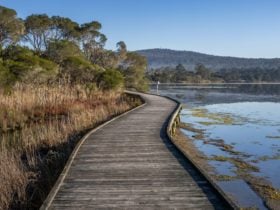 Lake Curalo Boardwalk, Eden, walks, boardwalk, lagoon, Sapphire Coast, South Coast, beach walks