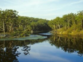 Lake Parramatta Reserve at sunset