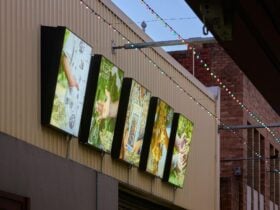 Installation view of Treasured, by Helen Newman. Photo credit: Jeremy Weihrauch.
