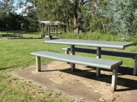 Picnic bench, Leacock Regional Park. Photo: John Spencer © OEH