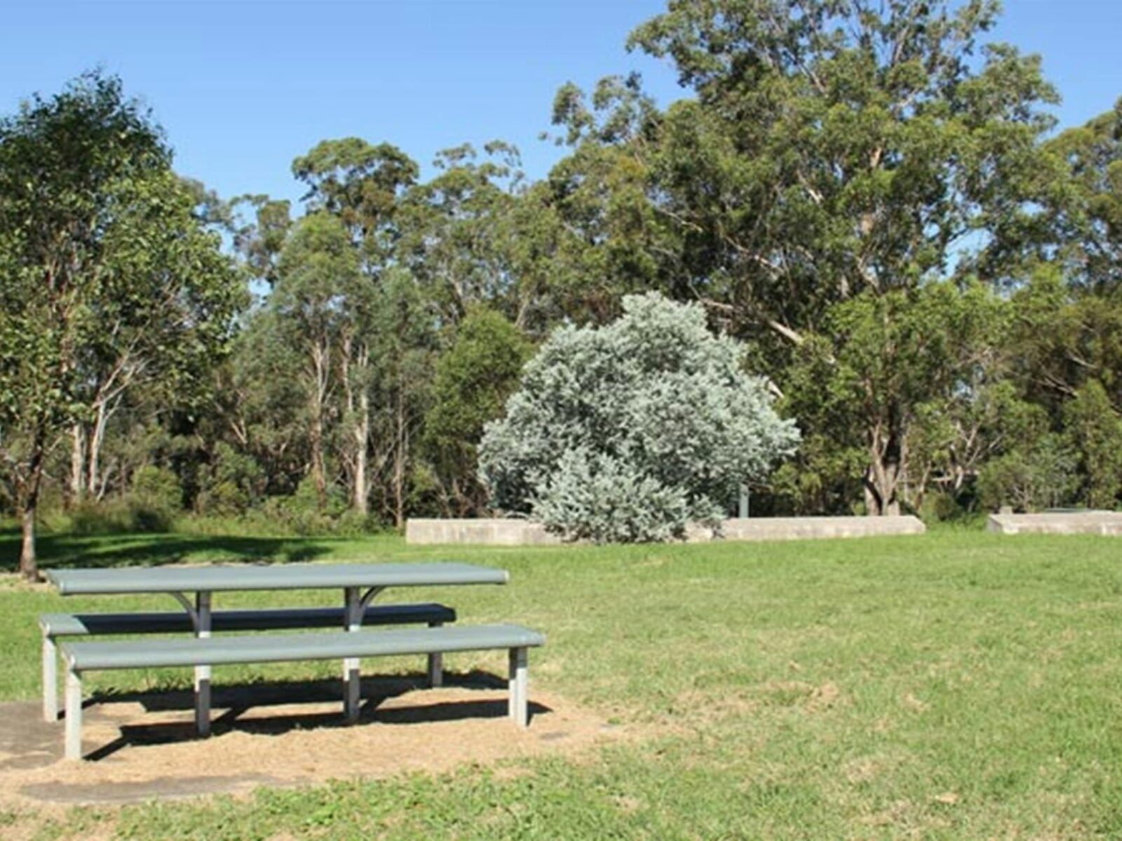 Picnic area, Leacock Regional Park. Photo: John Spencer © DPIE