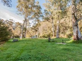 Leatherbarrel Creek picnic area, Kosciuszko National Park. Photo: Murray Vanderveer © DPIE