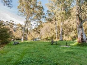 Leatherbarrel Creek picnic area, Kosciuszko National Park. Photo: Murray Vanderveer © DPIE