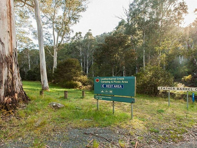 Leatherbarrel Creek picnic area, Kosciuszko National Park. Photo: Murray Vanderveer © DPIE