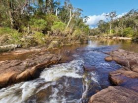 Little Dandahra Creek walking track, Gilbraltar Range National Park. Photo: Rob Cleary