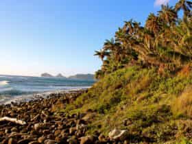 Just under three kilometre round trip, the walk to Little Island is easily the most gentle of walks on the island. The view is spectacular, and the flora and fauna worth the cycle to the south end of the island