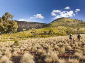 Little Mountain walking track, Gundabooka National Park. Photo: David Finnegan