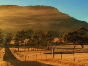 Hartley Vale