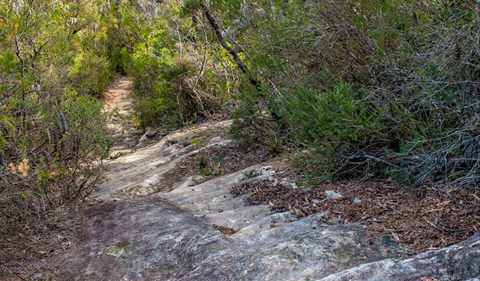 Lovers walking track, Morton National Park. Photo: Michael Van Ewijk