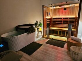Infrared Sauna and Ice Bath