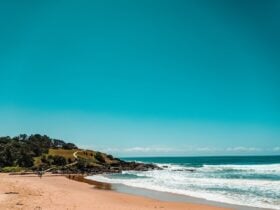 Macauleys Beach